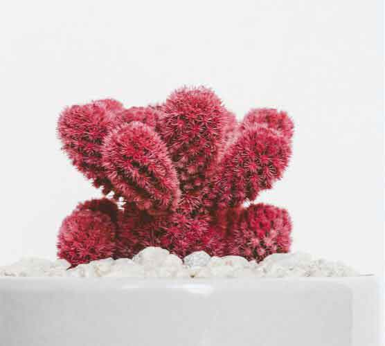 ddos在线压力测试平台