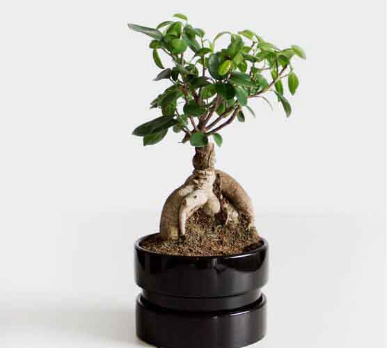 ddos在线压力测试平台